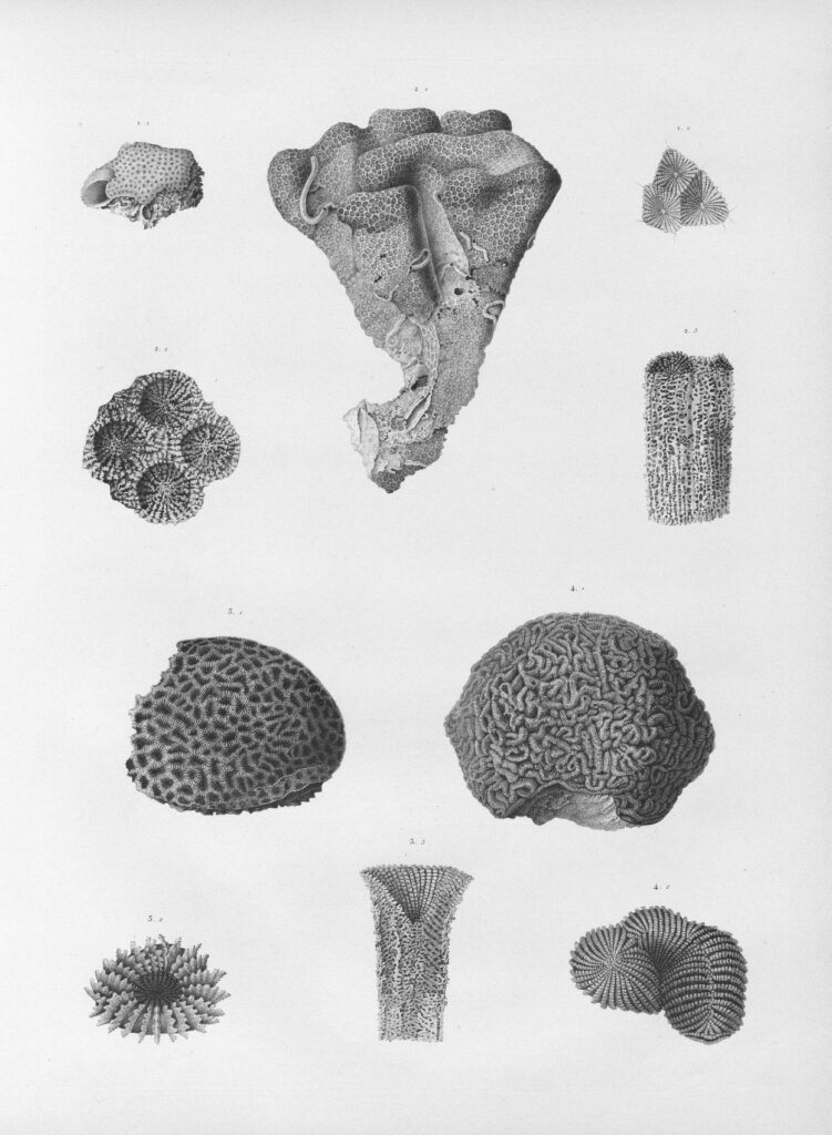 Detailed scientific illustration representing core artificial intelligence algorithms and structural patterns