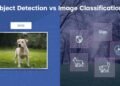 Side-by-side comparison of image classification and object detection: the left shows a single label identifying a dog, while the right shows multiple objects in the same scene marked with bounding boxes