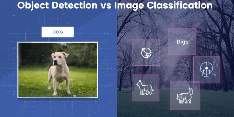 Side-by-side comparison of image classification and object detection: the left shows a single label identifying a dog, while the right shows multiple objects in the same scene marked with bounding boxes