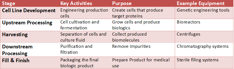 Table outlining the biomanufacturing process stages including cell line development, upstream processing, harvesting, downstream purification, and fill-finish operations with their key activities, purposes, and example equipment used in biologics production.