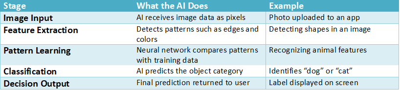 Diagram-style table showing the image recognition processing pipeline including stages such as image input, feature extraction, pattern learning, classification, and decision output with examples like recognizing dogs or cats.